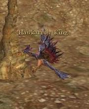 Hawkarrow King